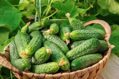 最近大瓜事件,揭秘明星隐私风波背后的真相  第2张